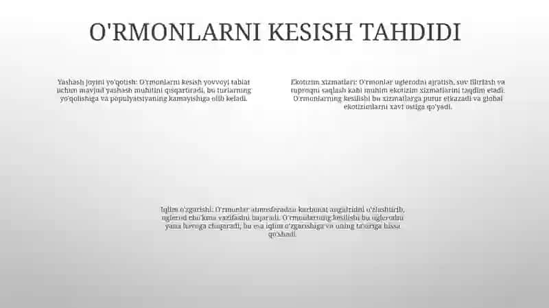 Global Muammolarga Oid Qiziqarli Video Rolik 3