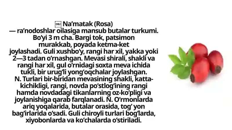 Na’matak 3
