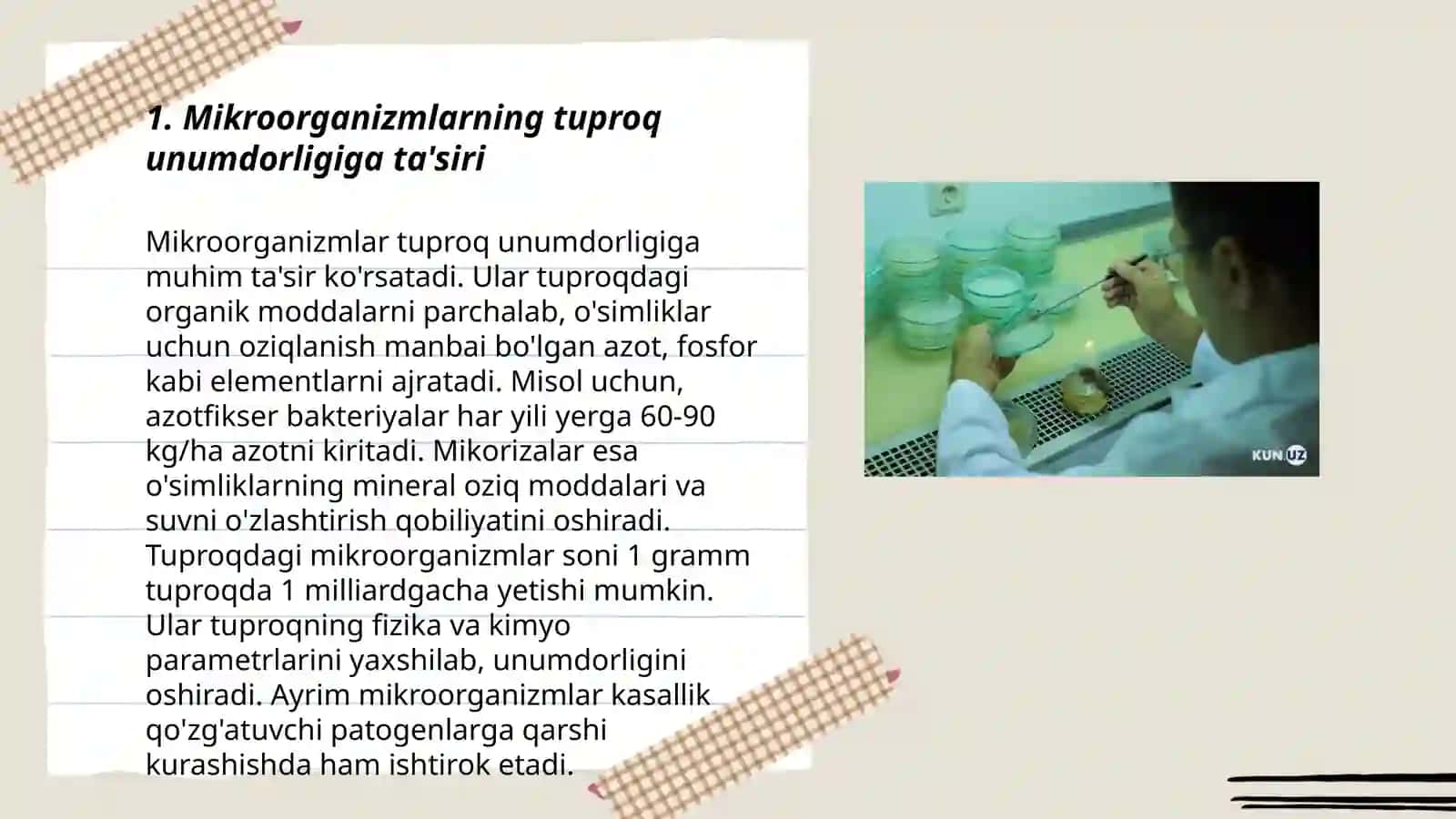 Mikroorganizmlarning qishloq xo'jaligidagi ahamiyati 3