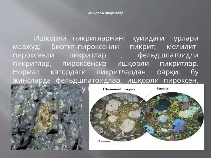 Ўтаасос жинслар 3