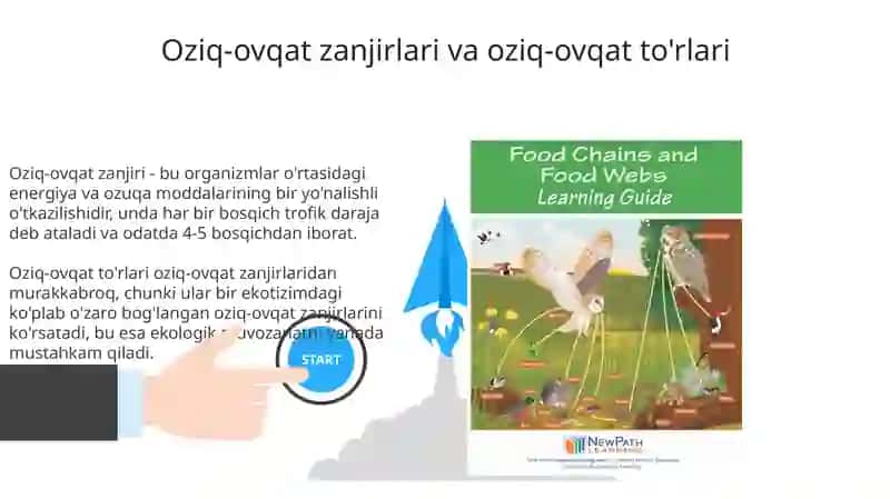 Oziq-ovqat zanjirlari va oziq to‘ri 3