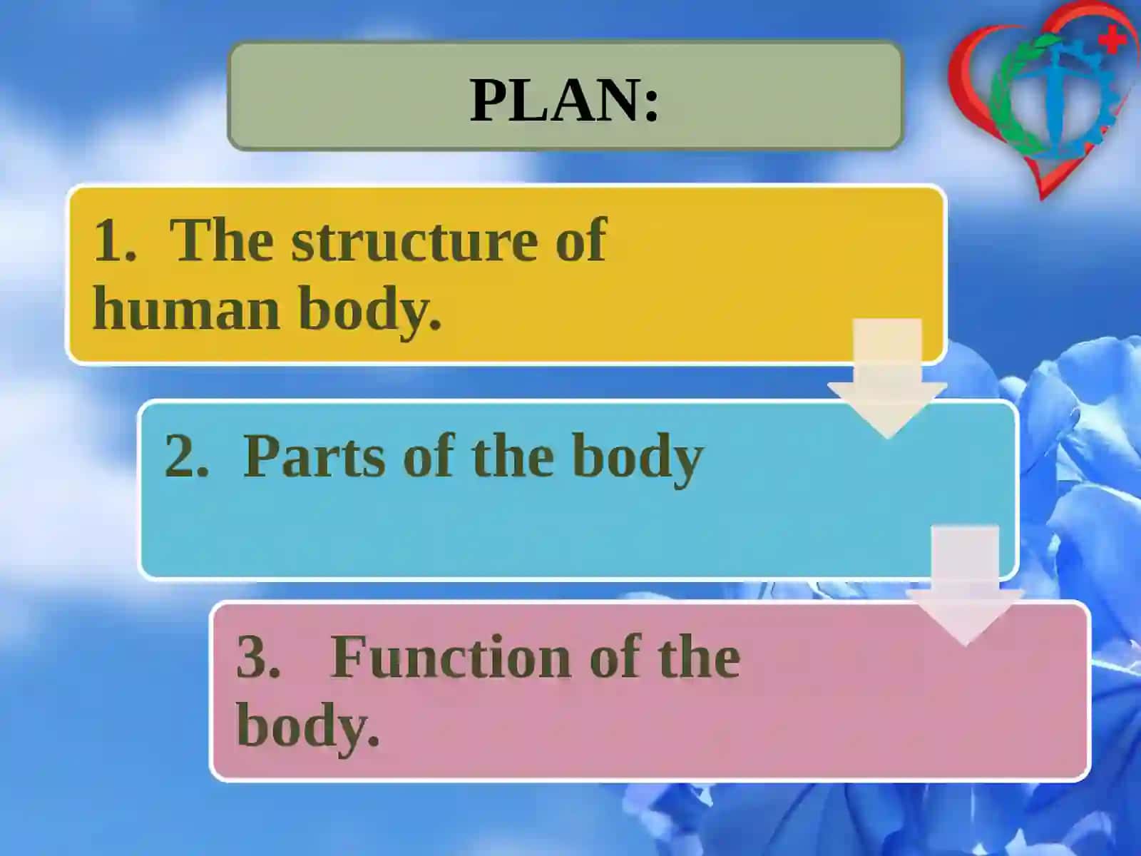 Partofthebody 3