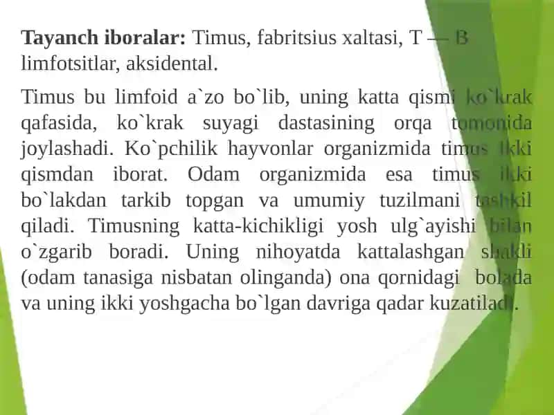 Immun tizimning markaziy a`zolari. 3