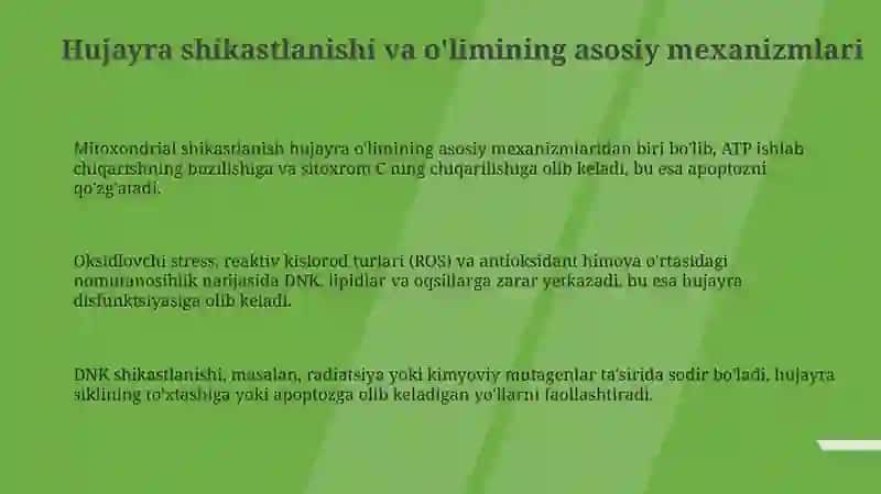 Mitoxondrial shikastlanishi va hujayra o'limining asosiy mexanizmlari 3