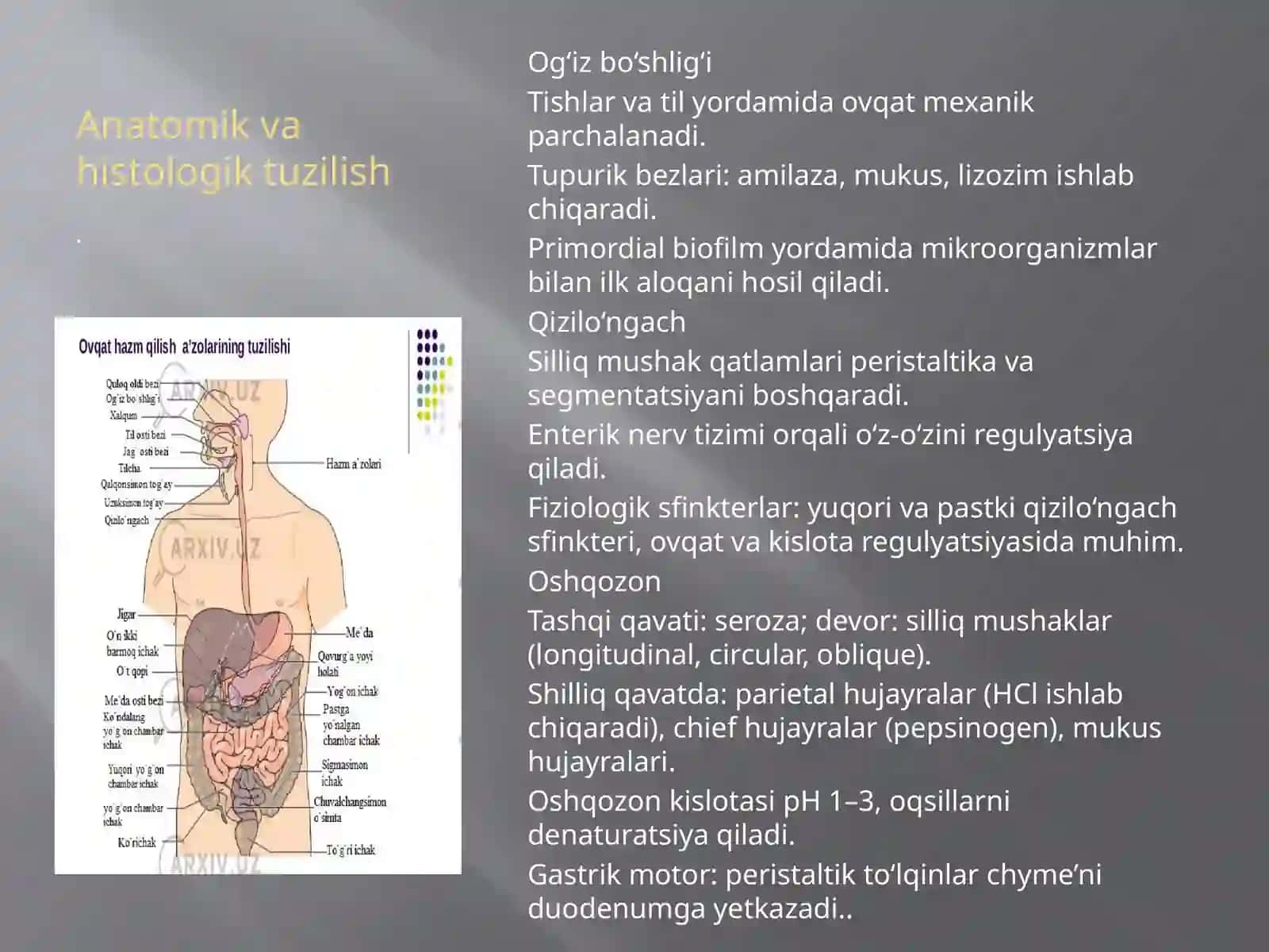 Oshqozonichakyo’liningharakatfaoliyatinitekshirishusullari 3