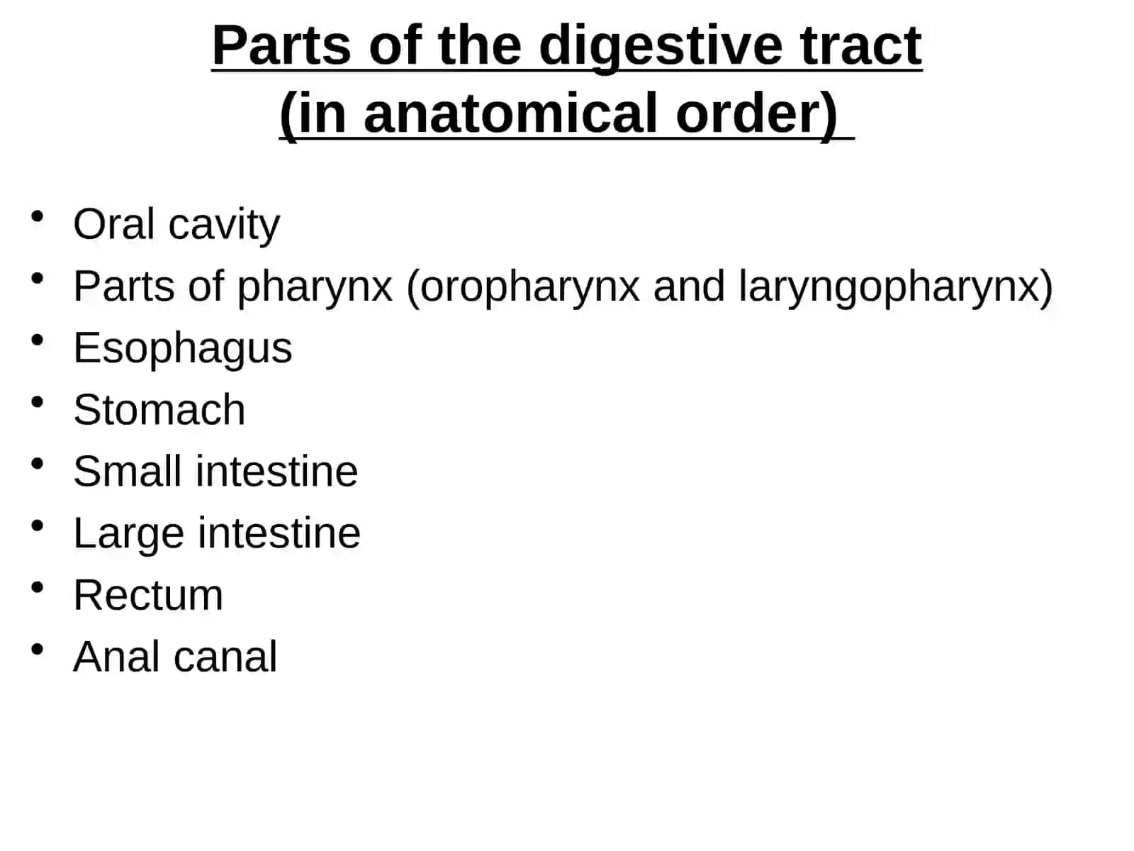 Digestive system(Alimentarysystem) 3