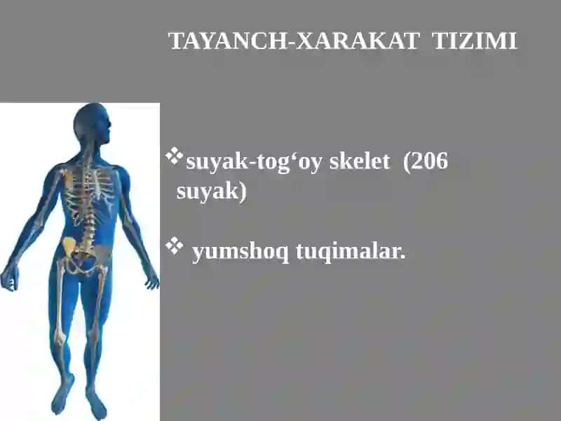 TAYANCH-XARAKAT TIZIMI KASALLIKLARINI NUR DIAGNOSTIKASI 3
