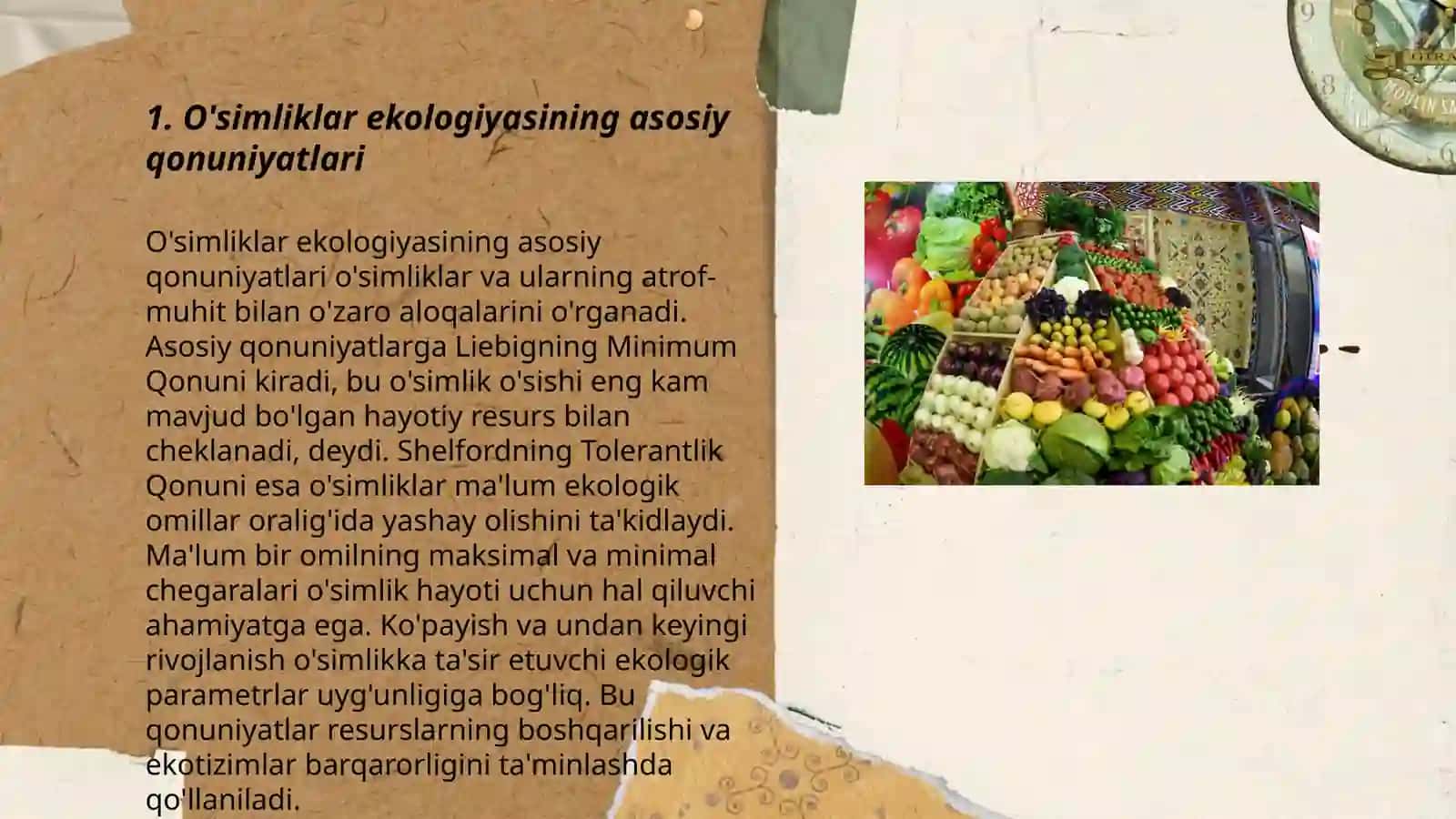 O'simliklar ekologiyasi 3