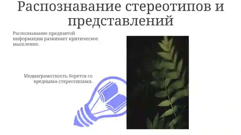 Медиаграмотность 3
