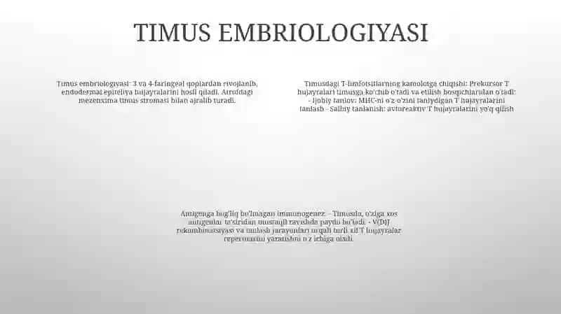 Timusdagi T Linfotsitlarning Yetilish Jarayon (Antigenga BogʻLiq BoʻLmagan Immunogenez 3