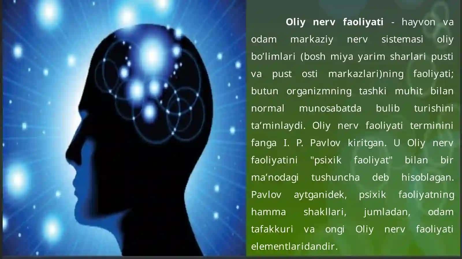 OLIYNERV FAOLIYATI TIPLARI 3