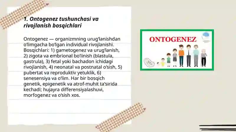 Ontogenez. Progenez 3