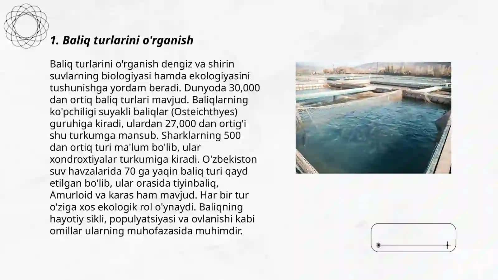 Baliqchilik 3