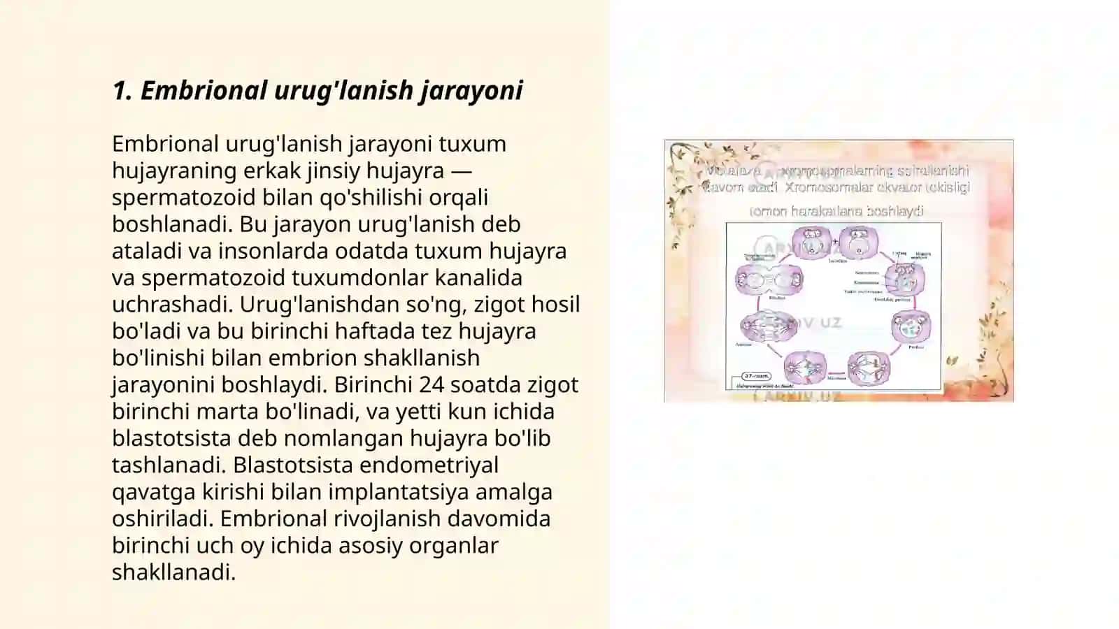 Embrional elementlari. Urug'lanish, maydalanish, gastrulyasiya. Embrional rivojlanishi 3