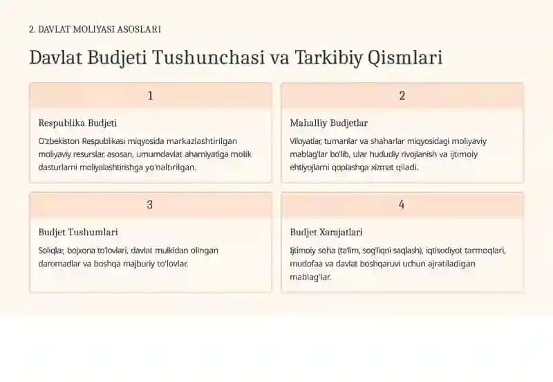 Davlat Budjeti va Davlat Maqsadli Jamg'armalari Budjeti Ijrosi bo'yicha Budjet Hisobi 3