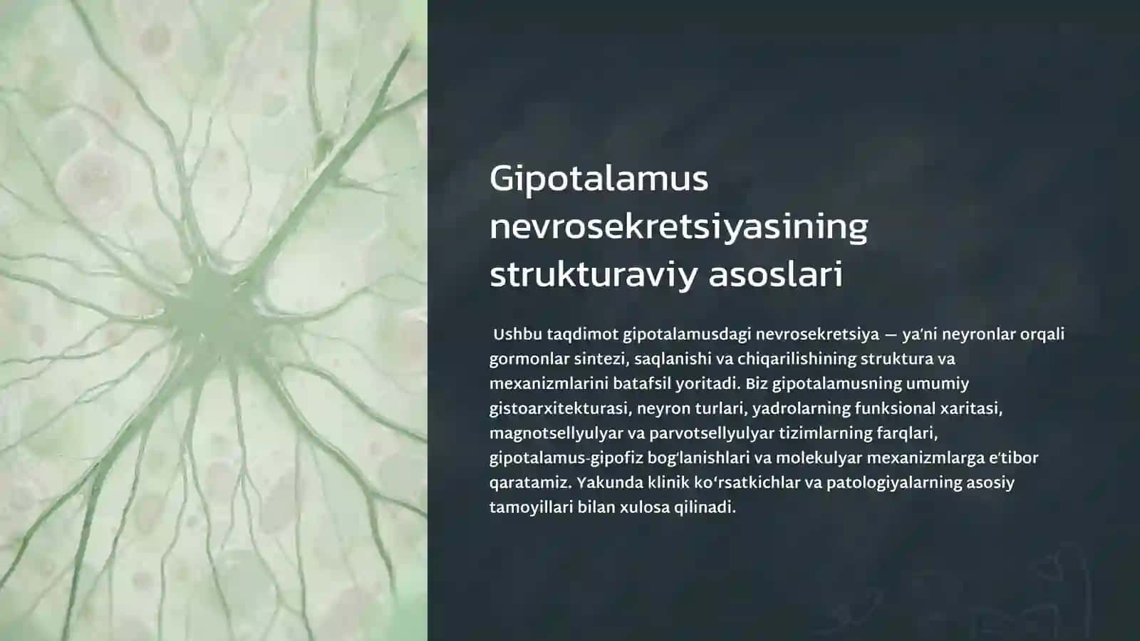 Gipotalamus neyrosekretsiyasining strukturaviy asoslari 3