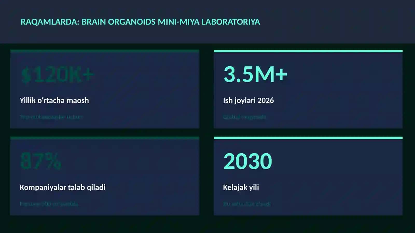 Brain organoids mini-miya laboratoriya 3