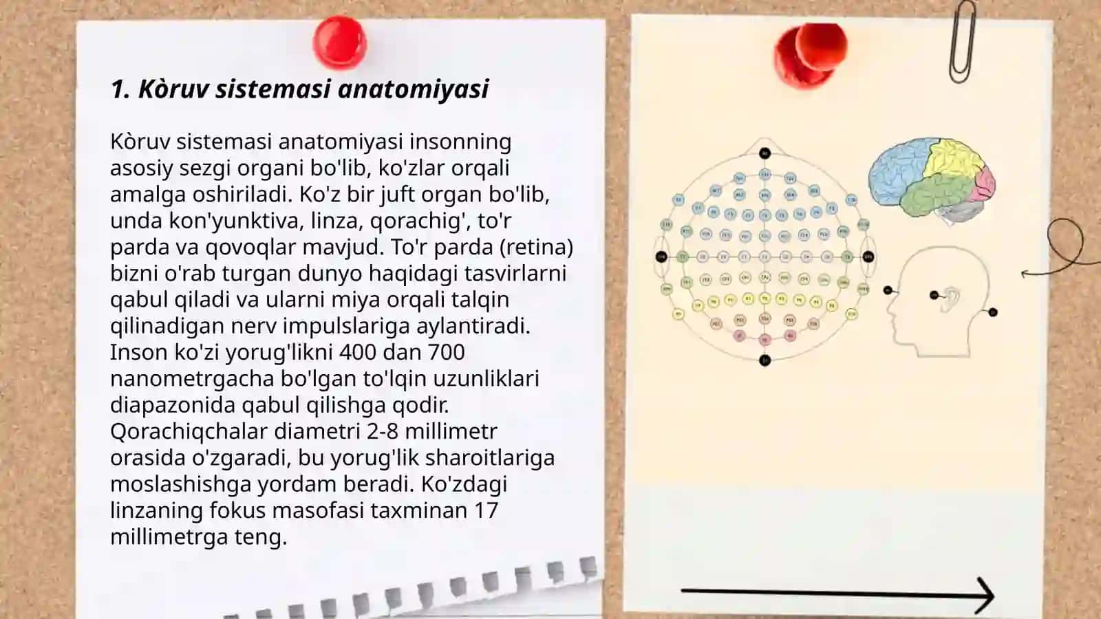 Kòruv sistemasi.Kòruv analizatorining patalogiyasi 3