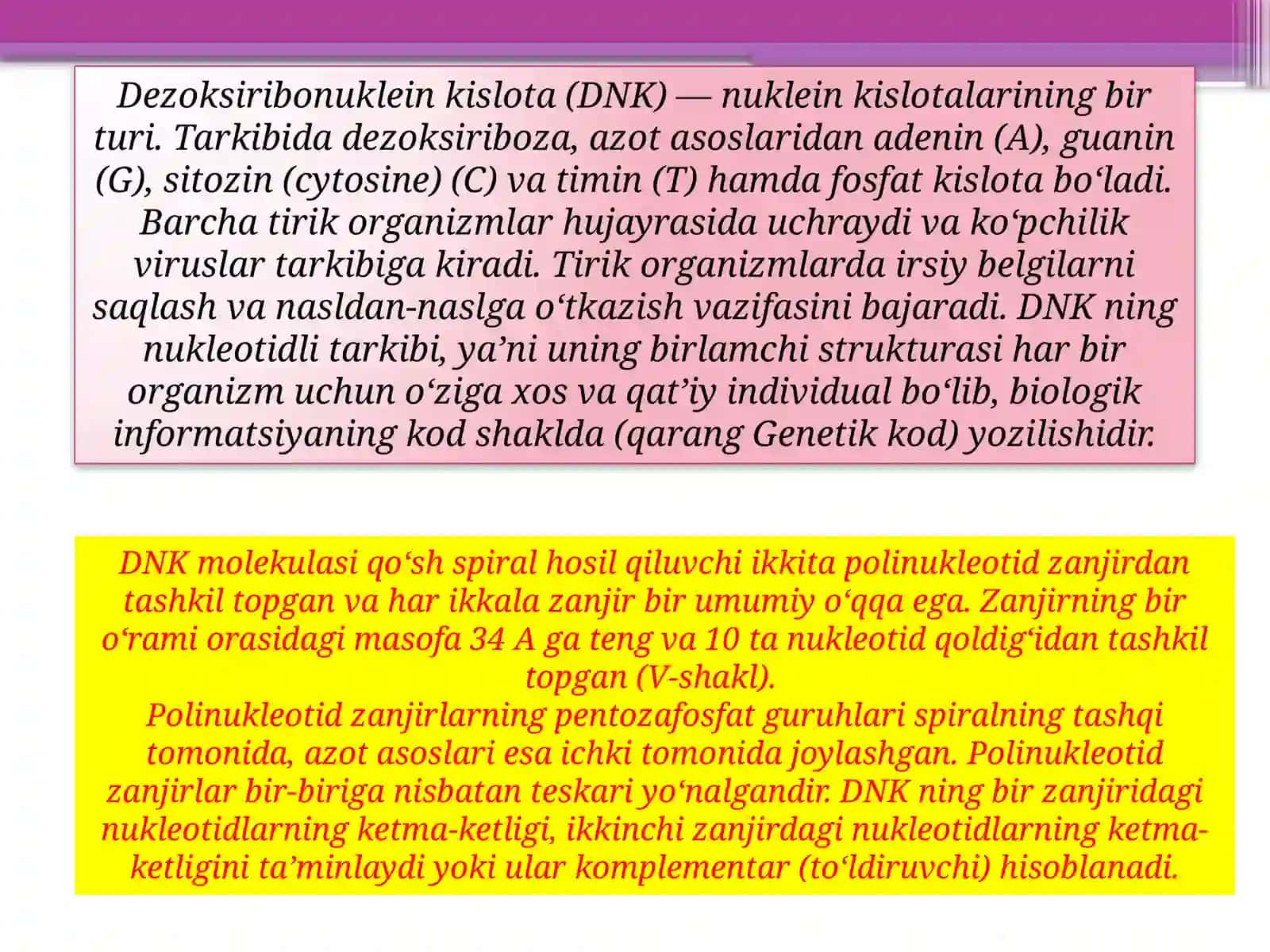 DNKvairsiyat. DNKbiosintezireplikatsiya 3