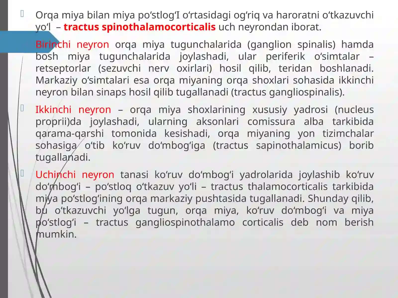 Ma’ruza№6.Oddiy refleks yoyi. Sezgi va harakat o’tkazuv yo’llari 3