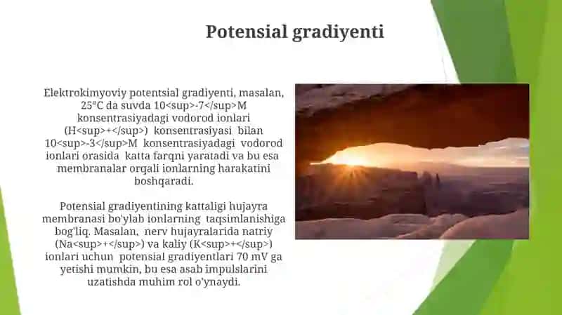 Elektrolitdagi jarayonlar. Potensial xosil bo'lishi 3