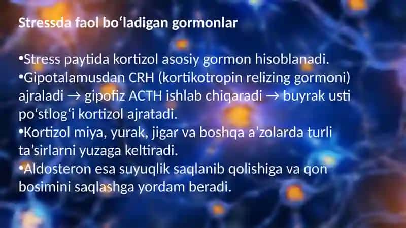 Stress holatida buyrak bezlari po'stloq'i 3