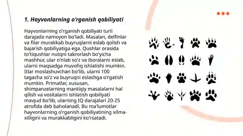 Hayvonlar intellektual xatti harakat shakllari 3