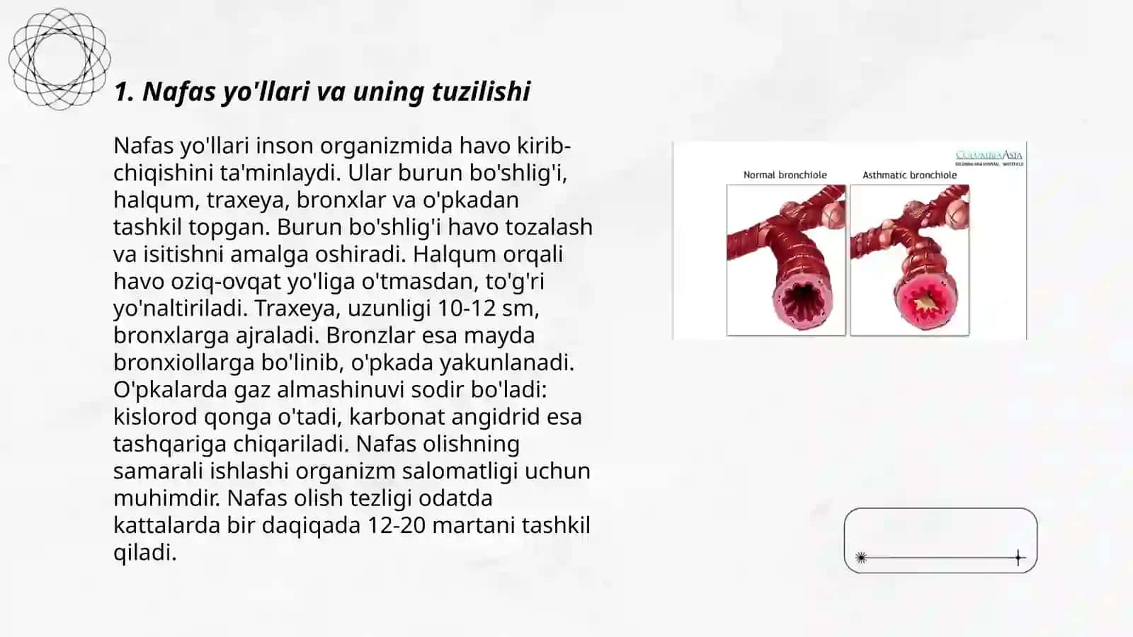 Nafas yo'llari surunkali Bronxial astma 3