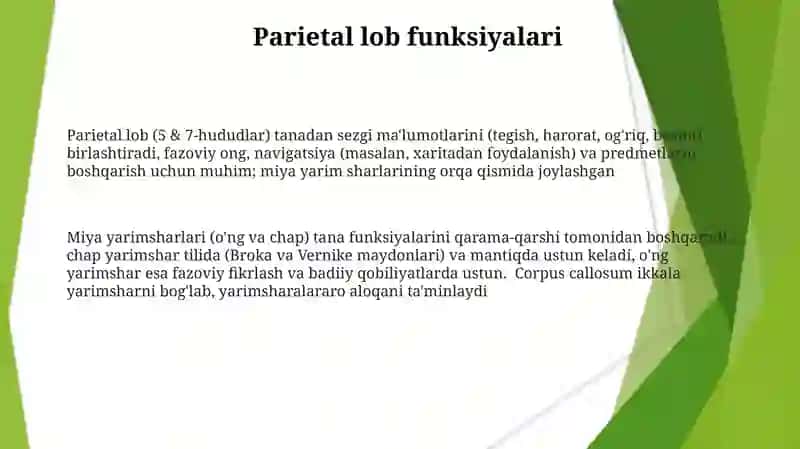 Miya yarim sharlari ve markazlari 3