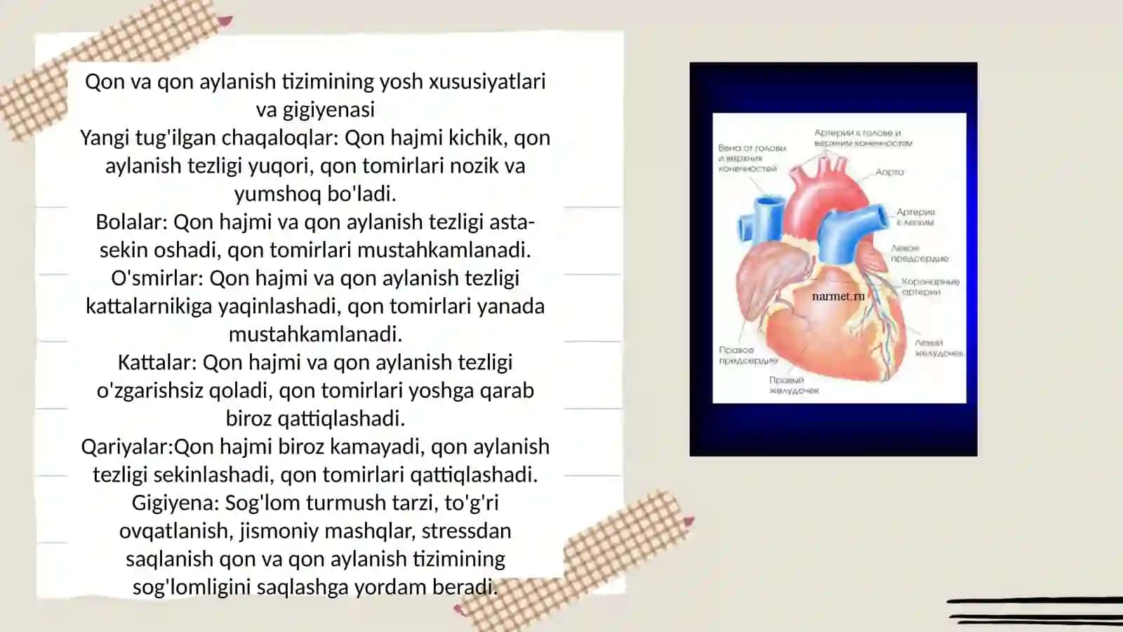 Qon aylanishining ahamiyati 3