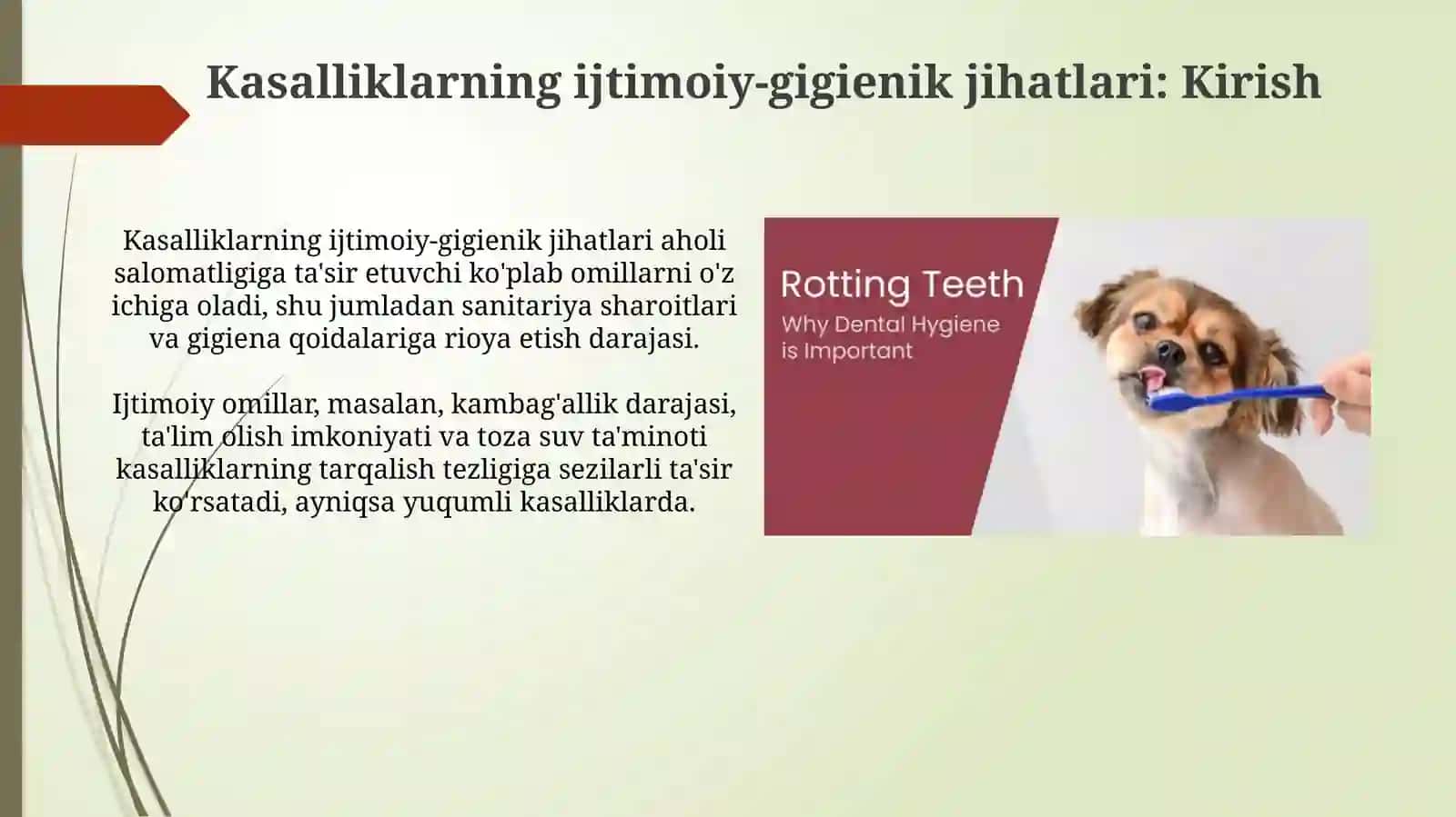 Muhim kasalliklar ijtimoiy gigienik jihati 3