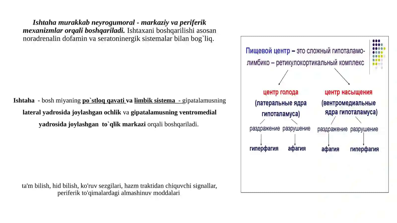 HAZM TIZIMIGA TA’SIR QILUVCHI DORILAR 3