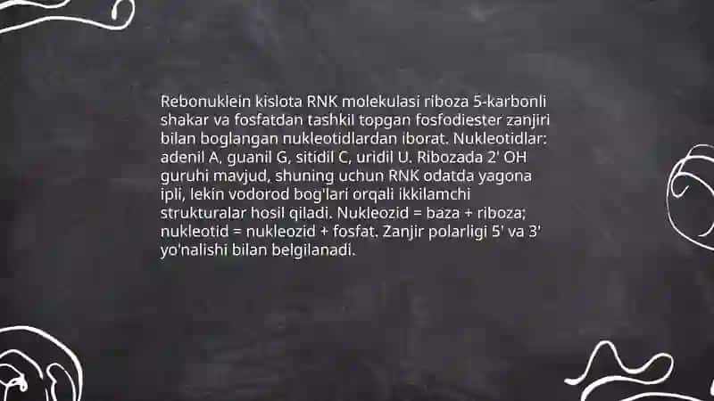 Rebonuklein kislotalar 3