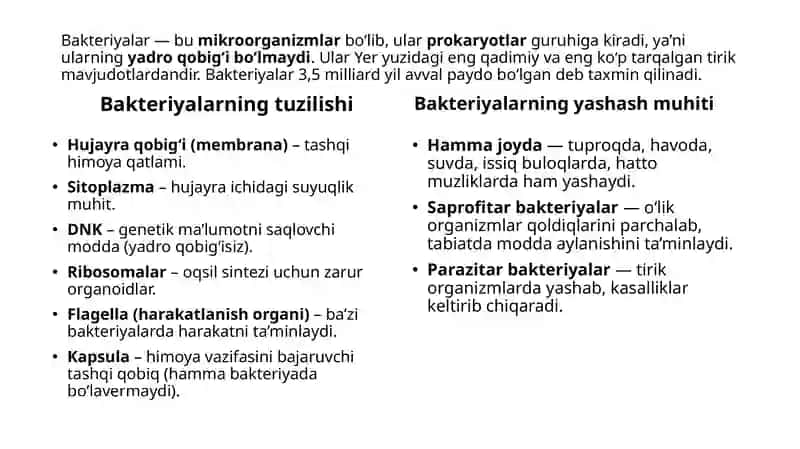 bakteriya zamburug virus 3