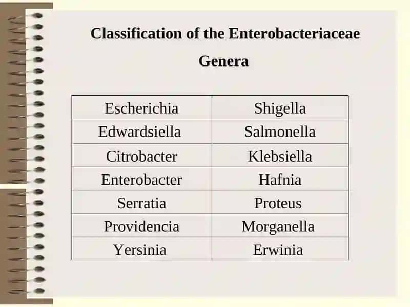 Pathogenic Enterobacteriaceae 3