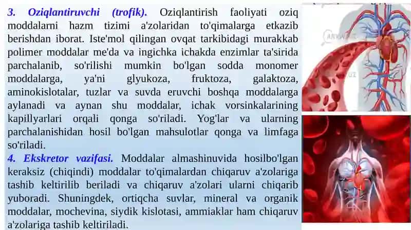 Qonfiziologiyasi 3