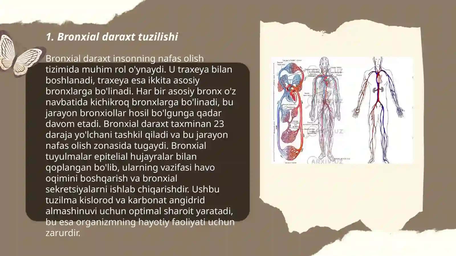 Havo-qon tŏsiqning tuzilishi vazifalari va patologiyasi. Atsinusning gistafiziologiyasi.Ŏpkaning regeneratsiyasi va transplantatsiyasi 3