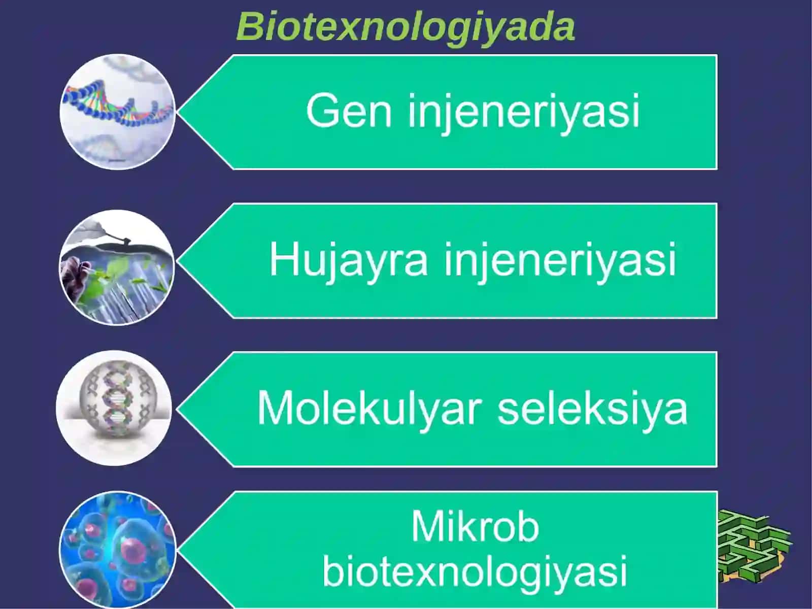 BIOTEXNOLOGIYADA 3