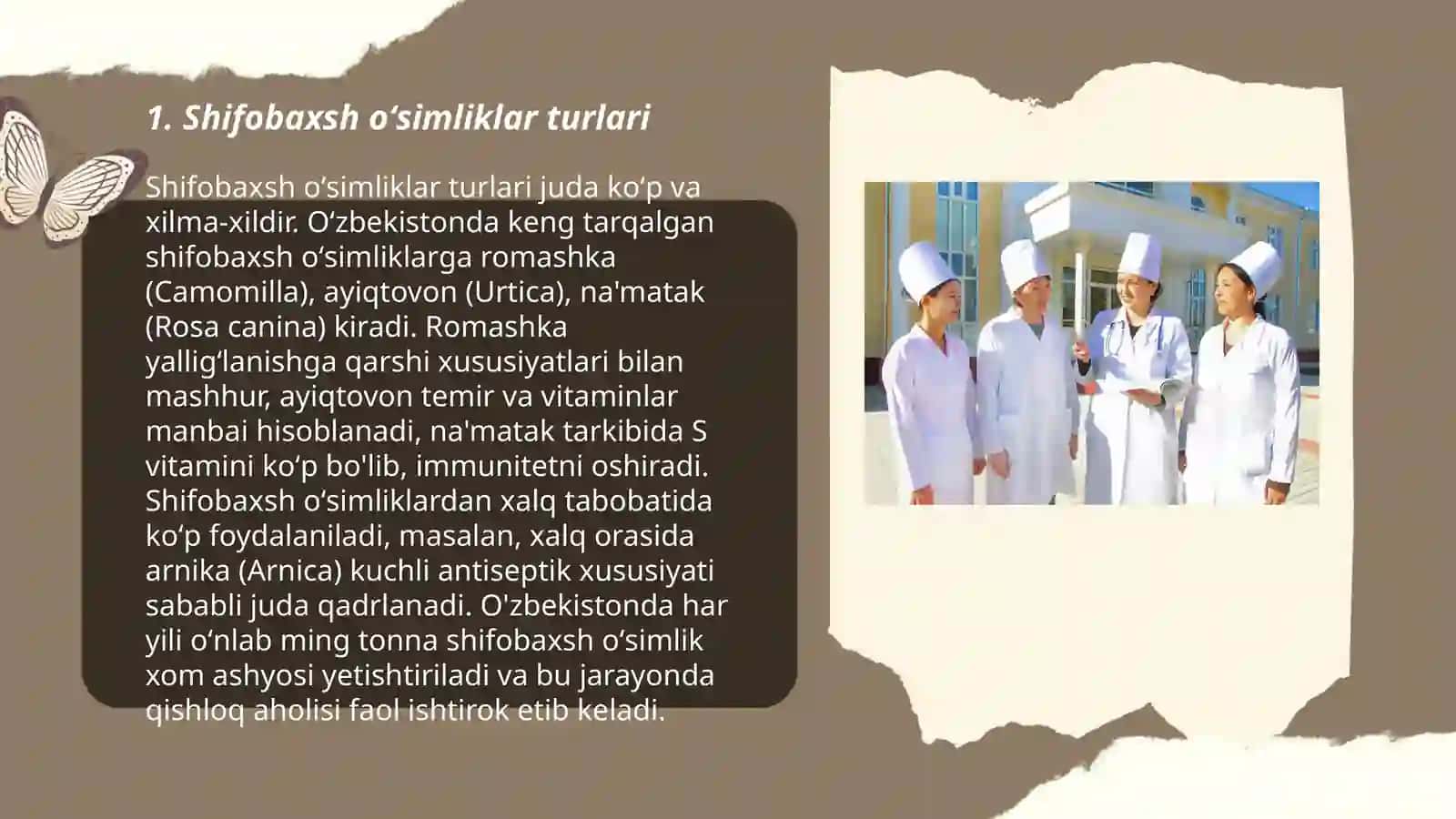 Tibbiyot dorivor oʻsimliklarni qoʼllanilishi 3