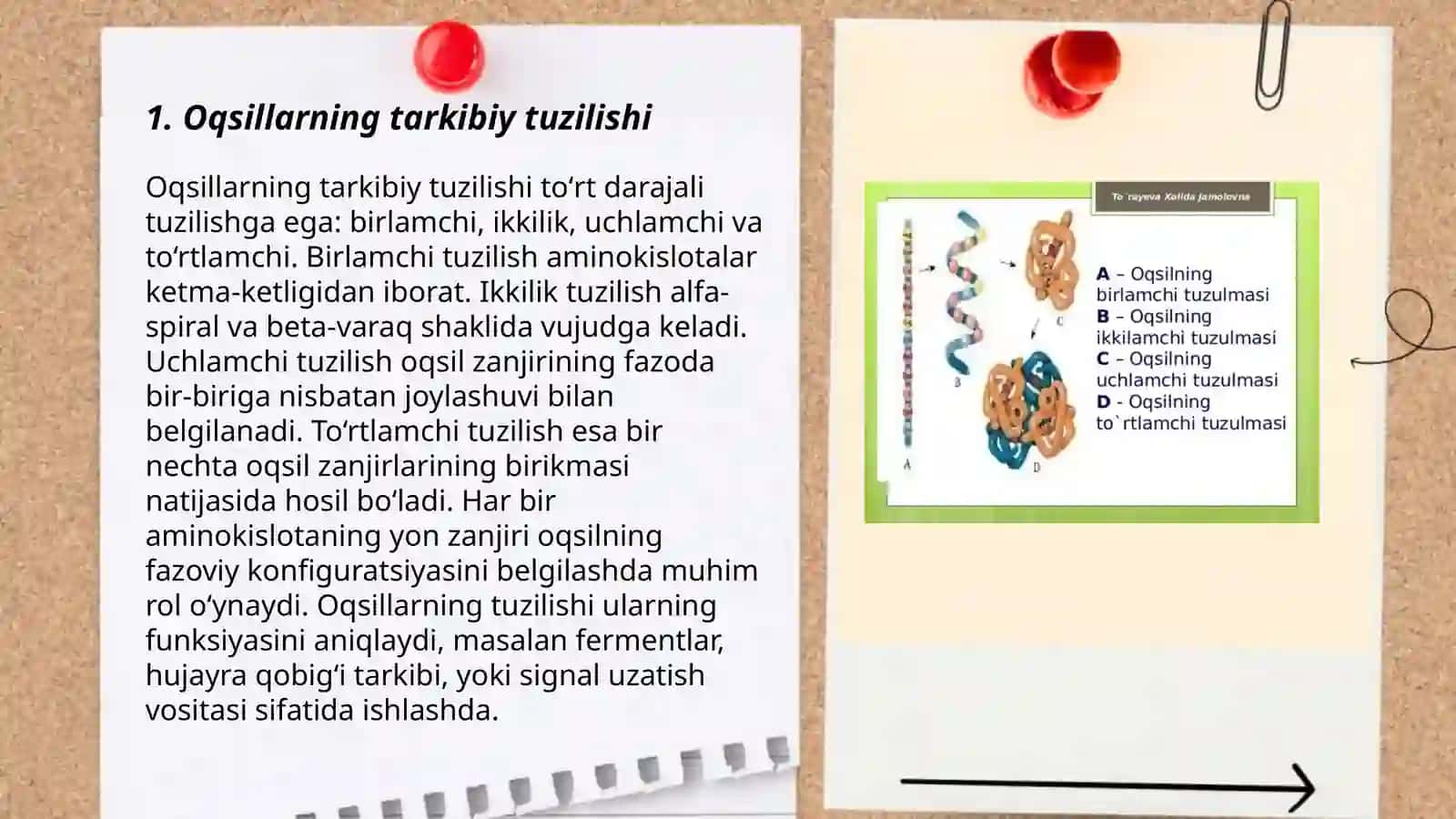 Oqsillarning klassifikatsiyasi.Umumiy xossalari 3
