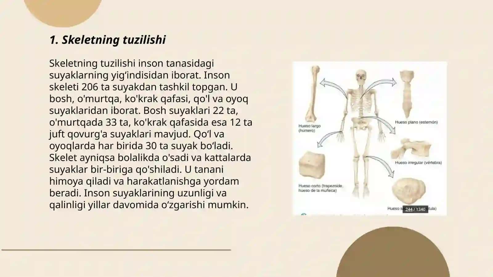 Tayanch harakat sistemasi 3