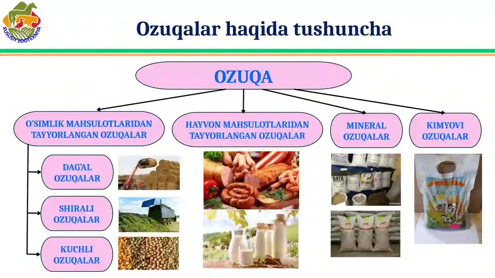 Adabiyotlar ba’zasidan foydalanish uchun QR kod 3