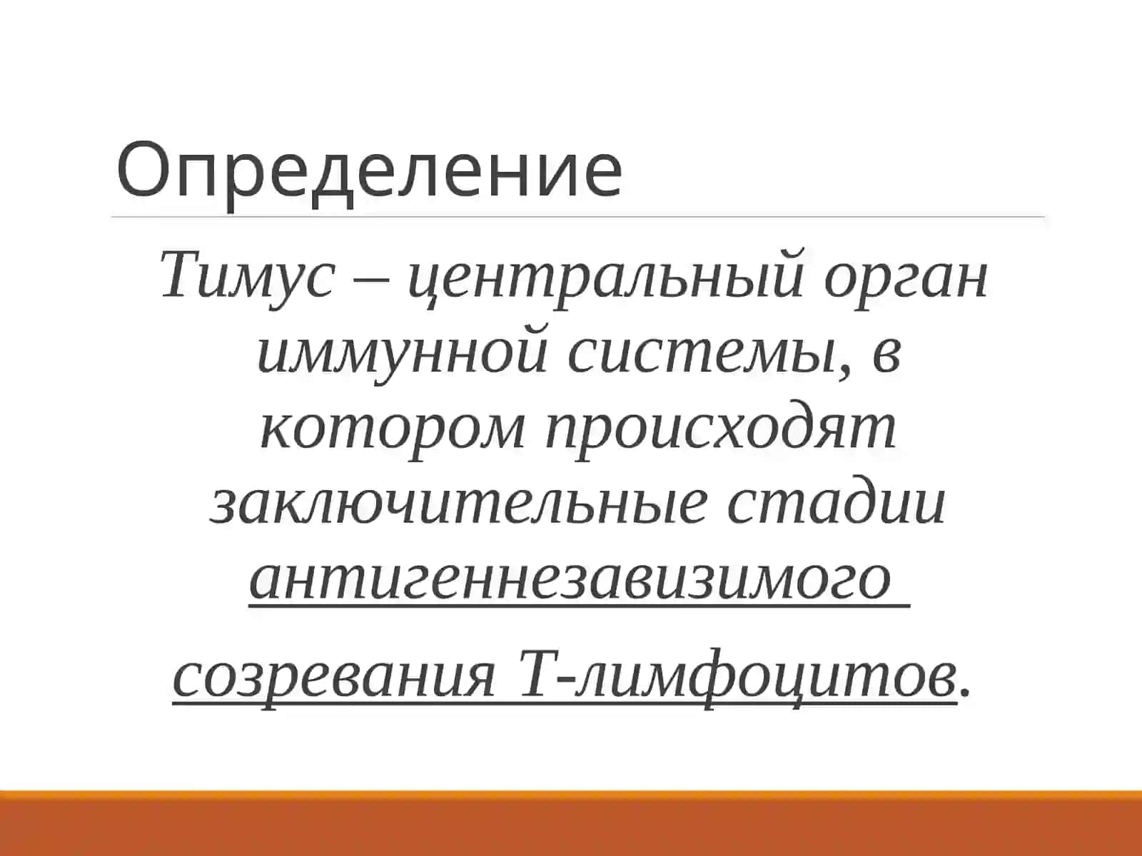 Tibbiyot Yevro guruhlar uchun timusning rivojlanishi va tuzilishiga doir slayd 3