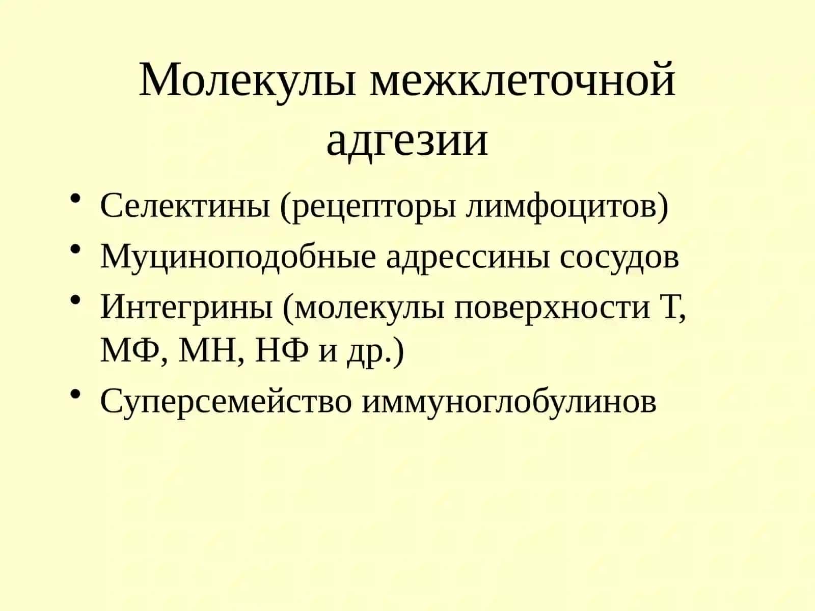 Иммунный ответ 3