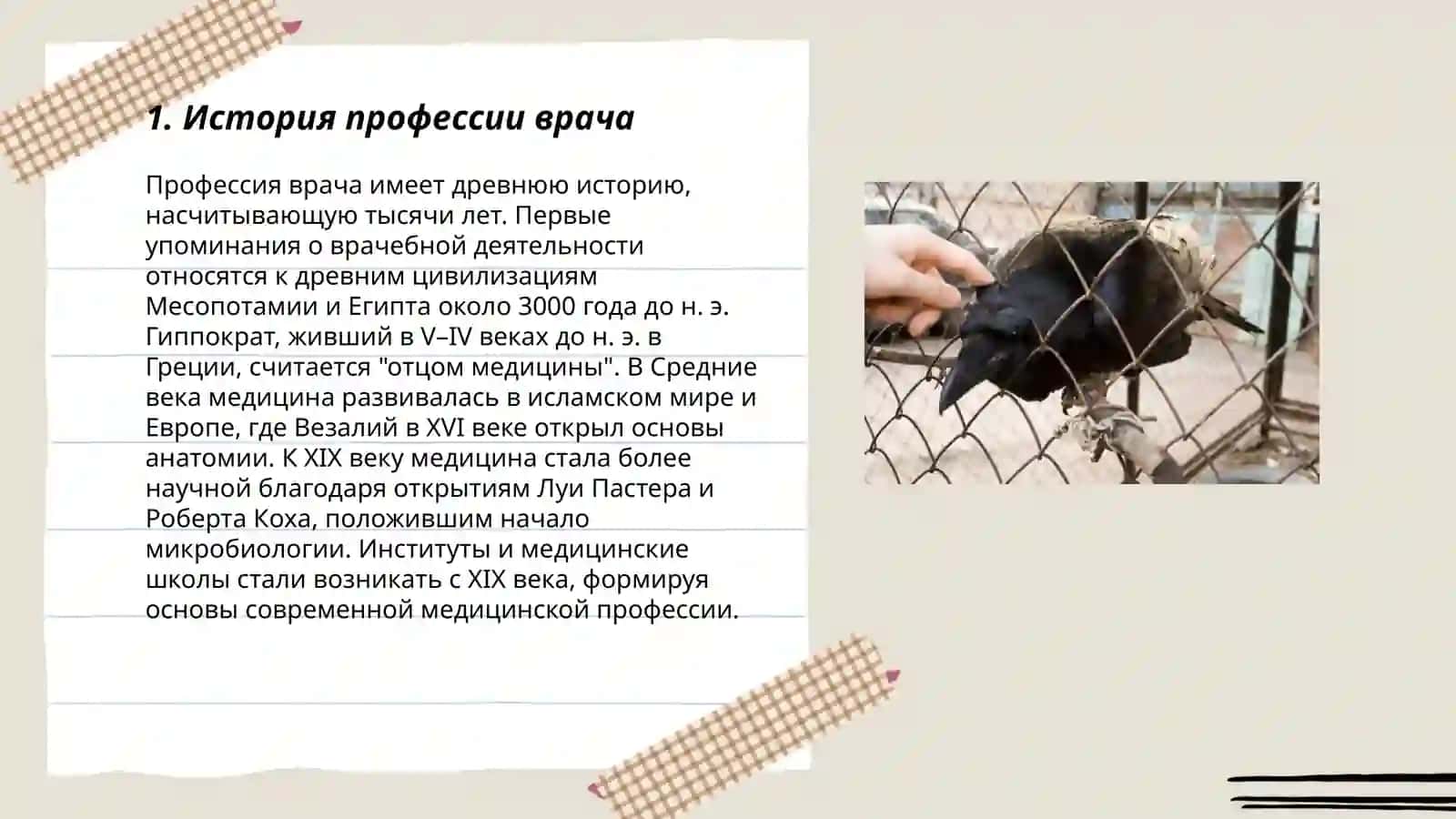 Моя профессия-доктор 3