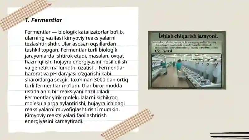 Fermentlar 3