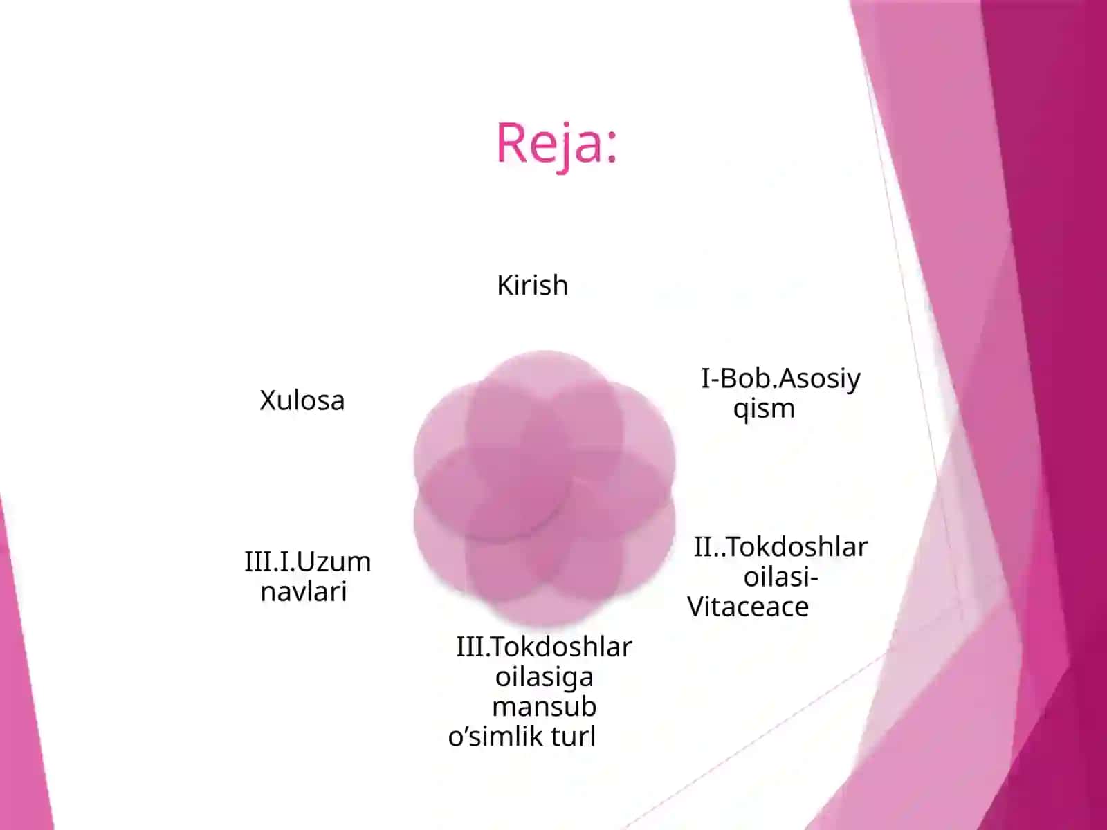 Toknamolar oilasi 3