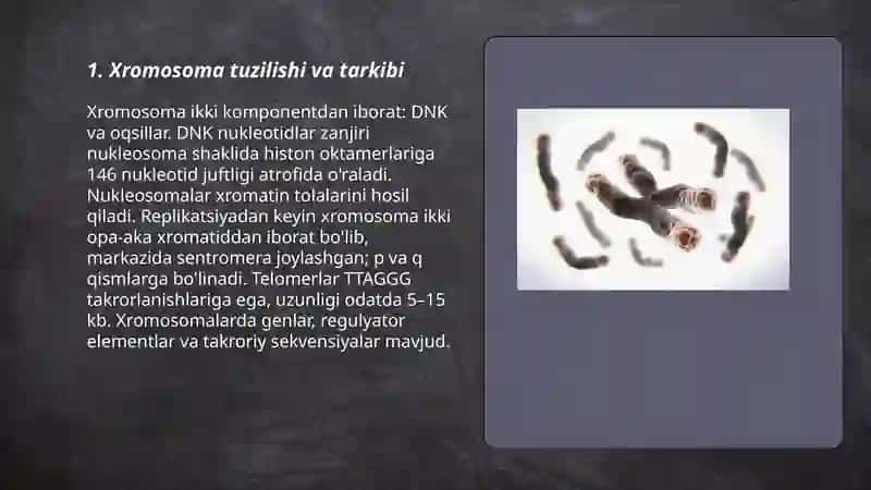 xromosoma 3