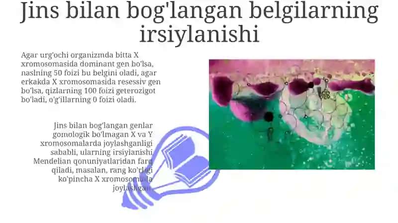 Tomas Morganning xromosoma nazariyasi 3
