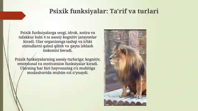 Psixik funksiyalarning evolyutsion asoslari va rivojlanish bosqichlari 3